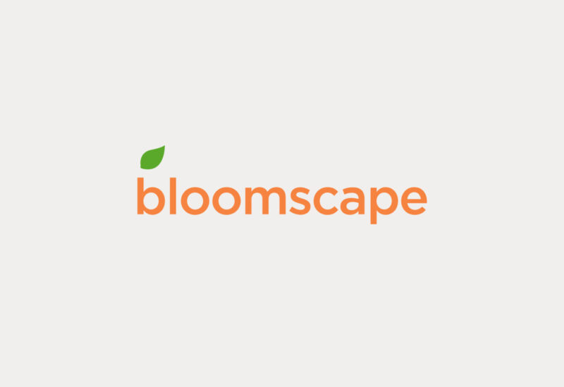 Bloomscape: Elevate Her Space with Lush Indoor Plants and Chic Home Decor