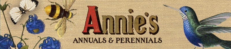 Annie’s Annuals & Perennials: Rare and Unique Plants for the Special Woman in Your Life