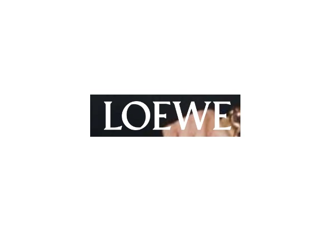 Loewe: Spanish Luxury Leather at Its Finest