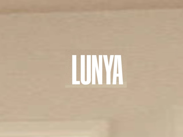 Lunya: Luxurious Washable Silk Loungewear for the Woman Who Deserves the Best