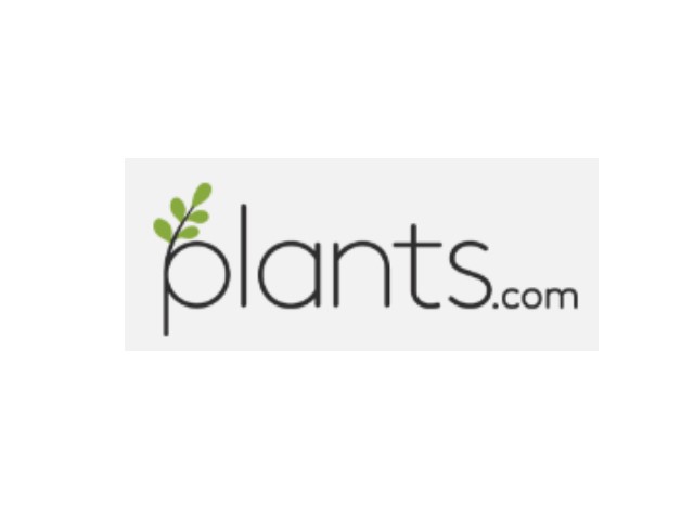 Plants.com: Bring the Outdoors In with Thoughtful Indoor Plant Gifts